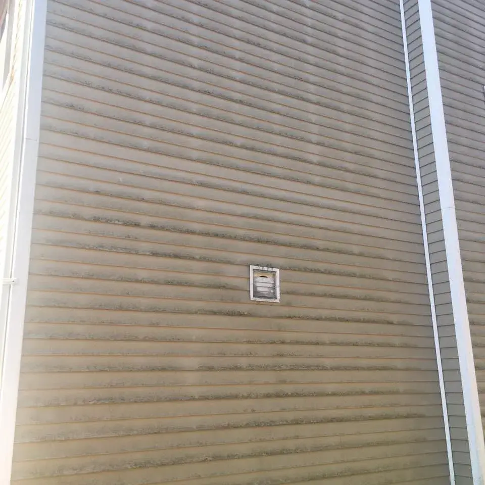 Superior Roof Cleaning — photo 2